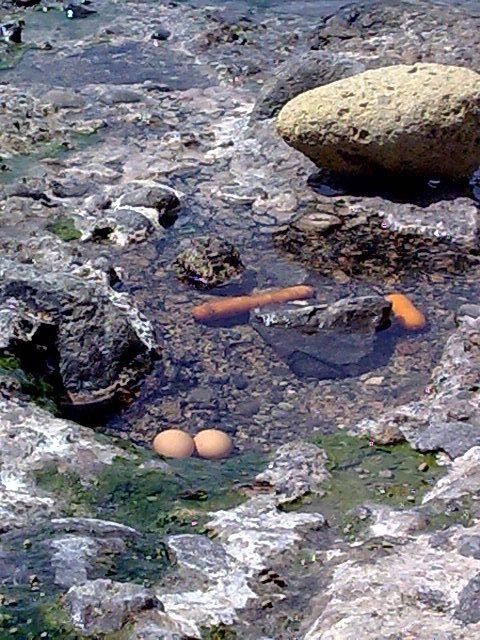 Ischia, Baia di Sorgeto. Cottura di carote e uova nelle vasche naturali.