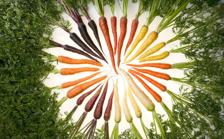 Carrots_of_many_colors-730x453.jpg